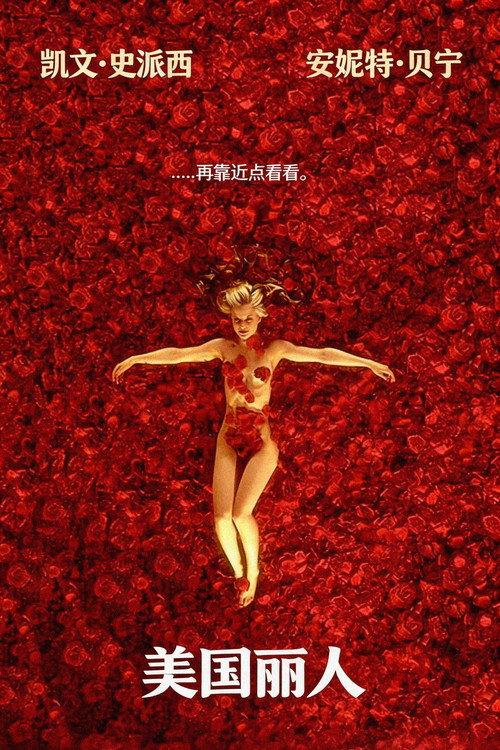 美国丽人 海报
