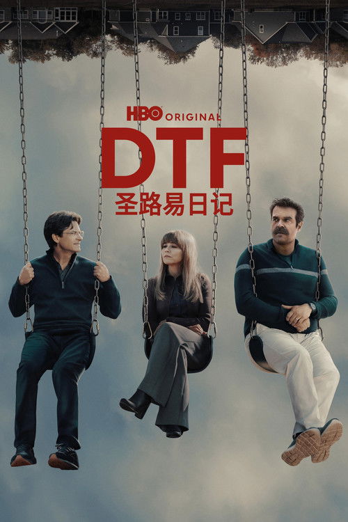 DTF圣路易日记 海报