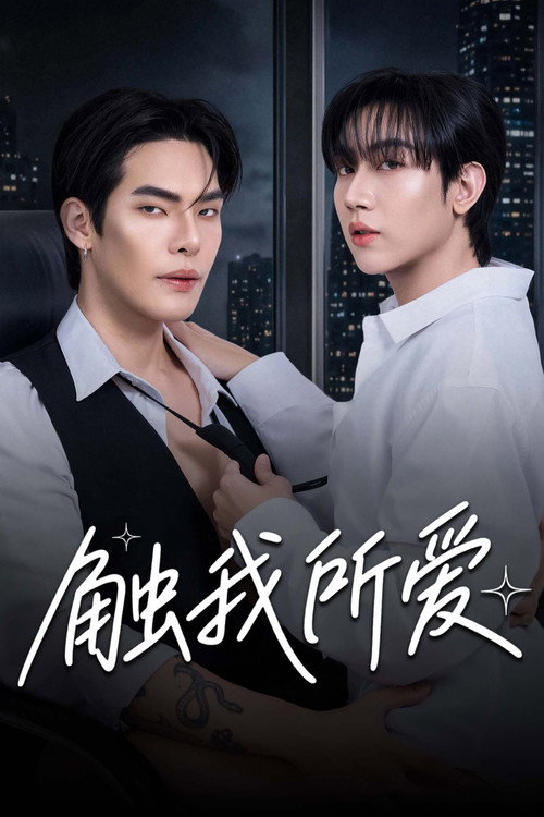 触我所爱 海报