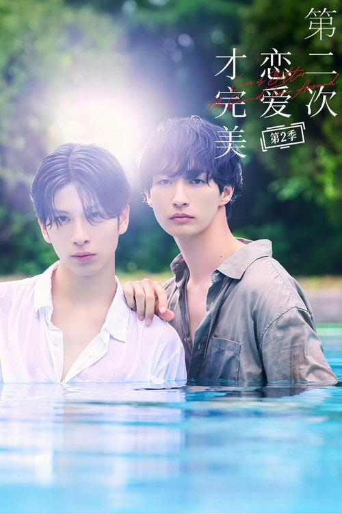 第二次恋爱才完美 海报