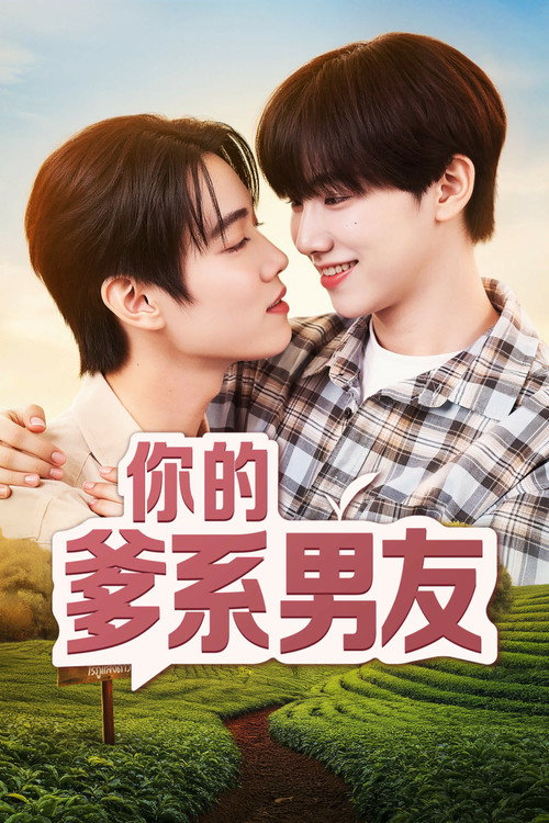 你的爹系男友 海报