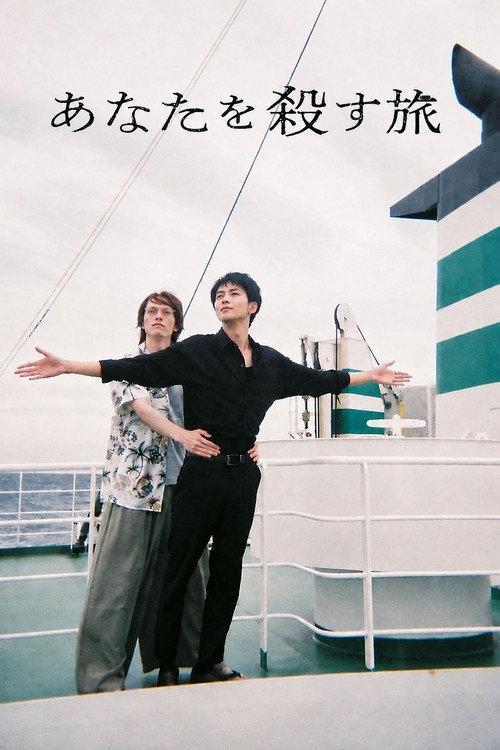 杀死你的旅途 海报