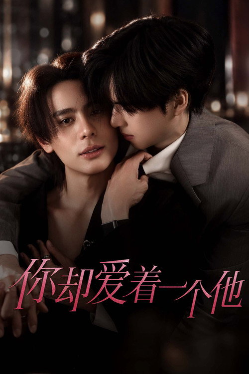 你却爱着一个他 海报